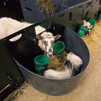 anti escape panel for solway lambing pens