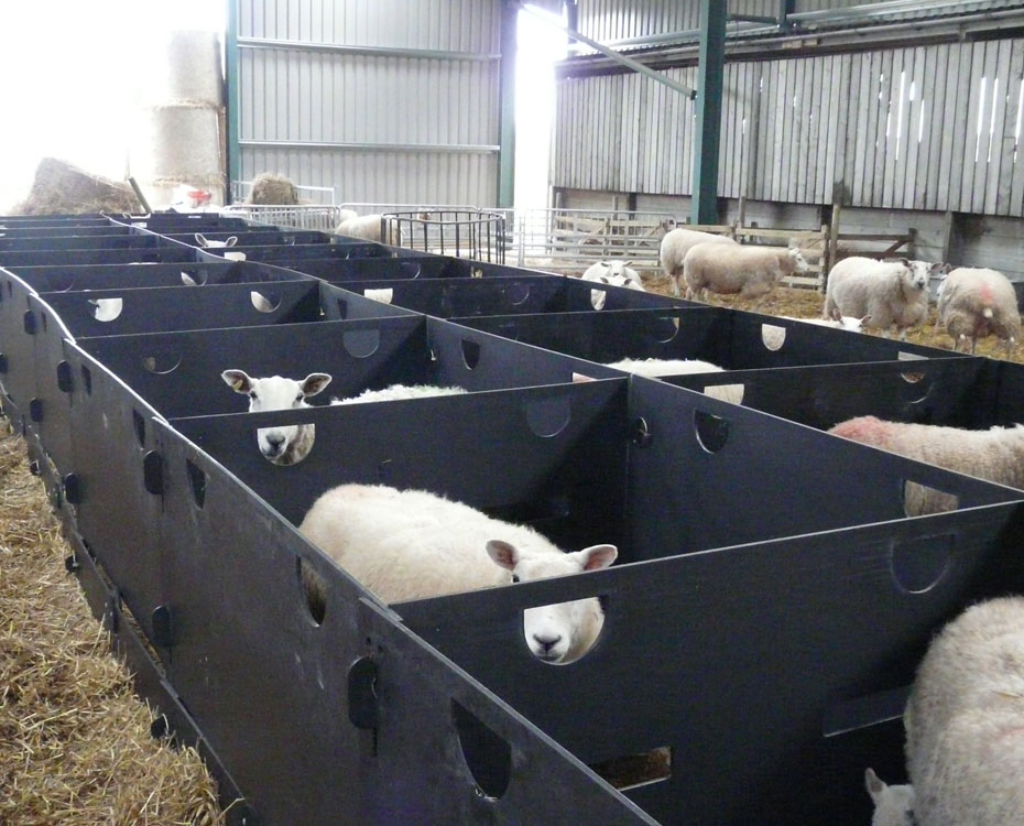 Indoor Lambing Pens | Deluxe Sheep Pens Back To Back