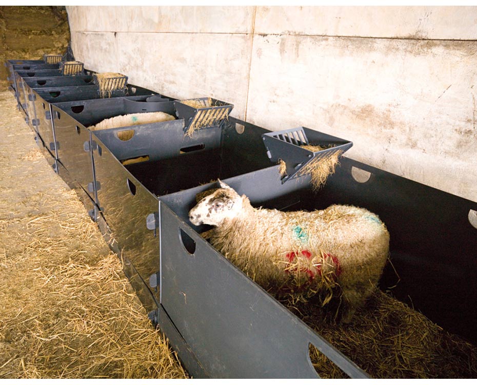 Solway Products Sheep Pens | Deluxe Sheep Pens In A Row