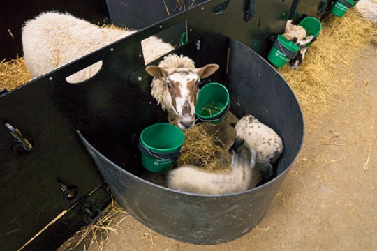 lambing time with solway recycling