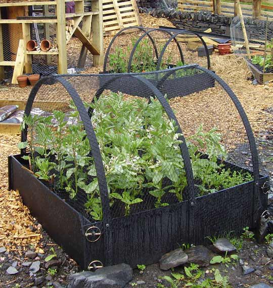 raised beds for sale gift