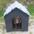 Snoopy Style Dog Kennel