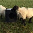 Recycled Plastic Sheep Feed Saver