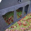 Front Detail of Solway Lamb Creep Feeder