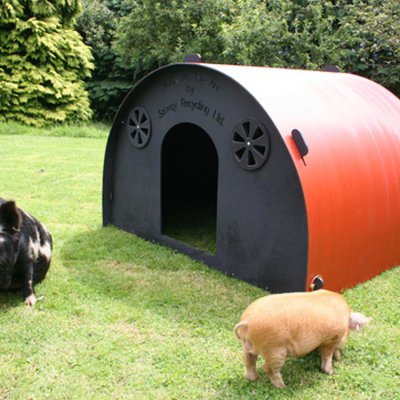 Solway Recycling's Kune Kune Pig Ark