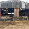 6mm Solway Board clad gates Cumbrian stock shed